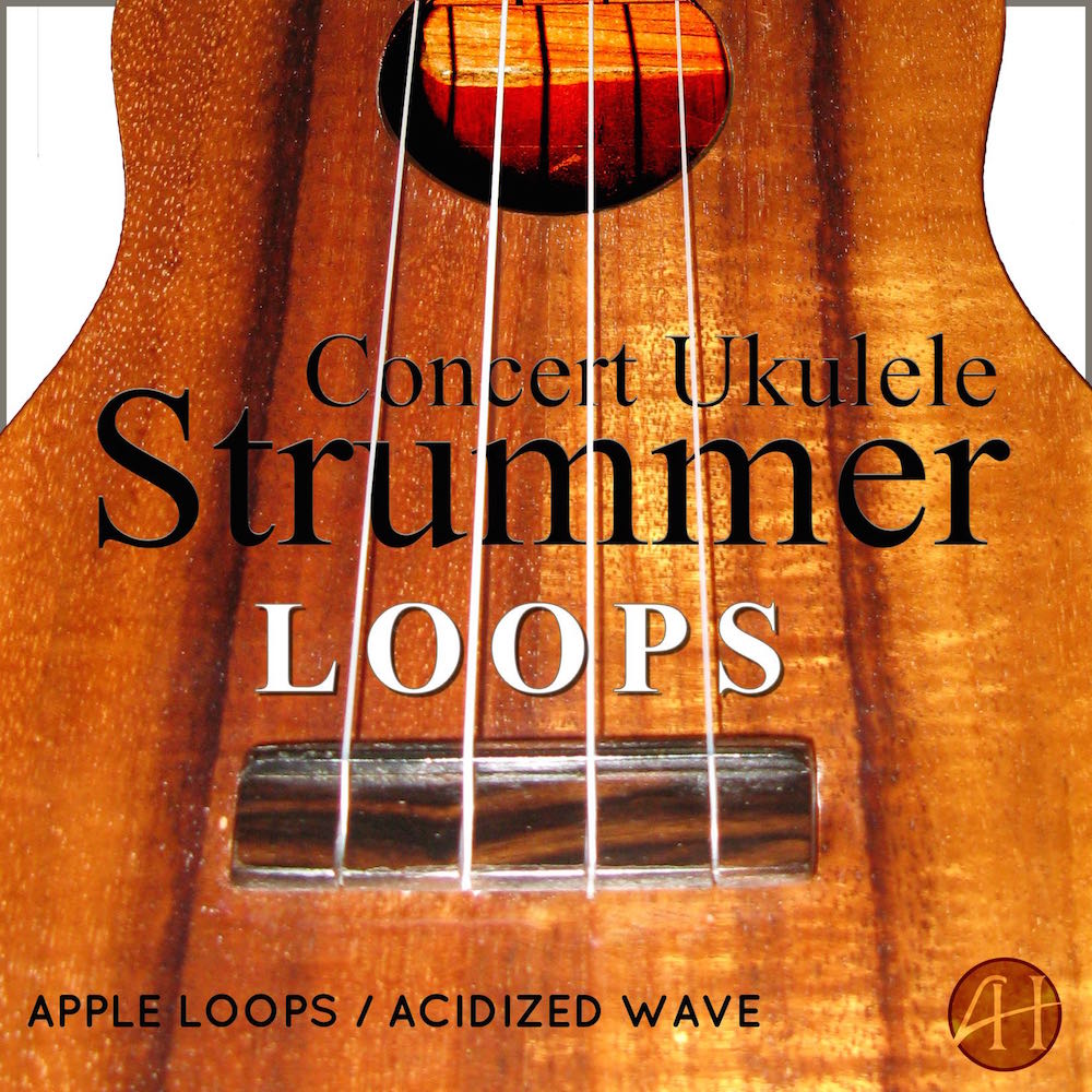 strummer-loops-cover